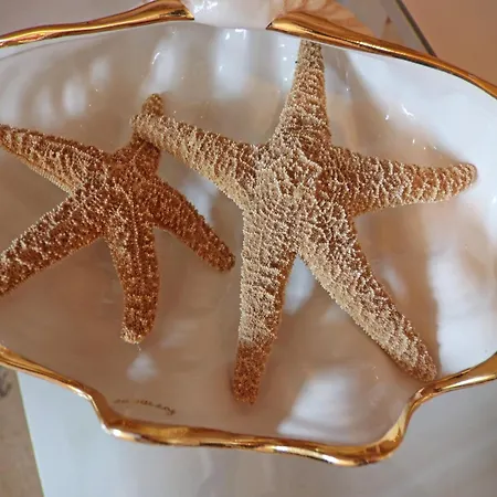 Weisse Duene, * צינוביץ