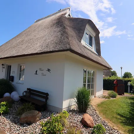 Weisse Duene, צינוביץ